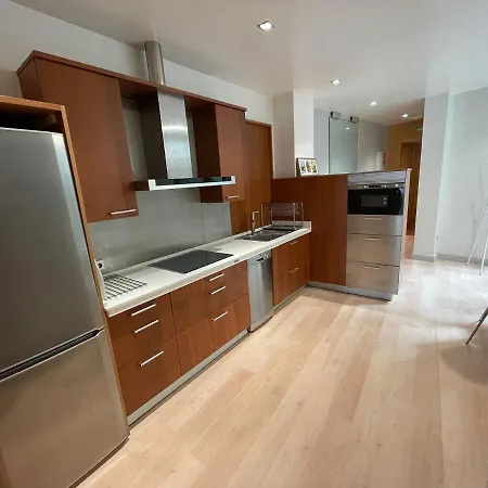 Apartment Loft Hall 1b *